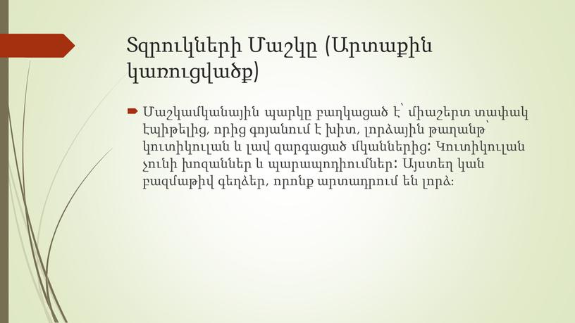 Տզրուկների Մաշկը (Արտաքին կառուցվածք) Մաշկամկանային պարկը բաղկացած է՝ միաշերտ տափակ էպիթելից, որից գոյանում է խիտ, լորձային թաղանթ՝ կուտիկուլան և լավ զարգացած մկաններից։ Կուտիկուլան չունի խոզաններ…