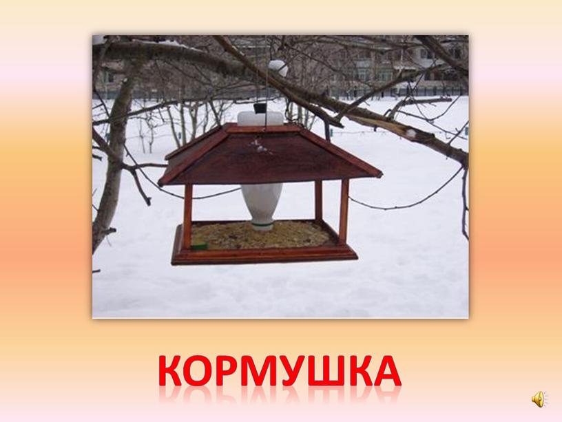 кормушка