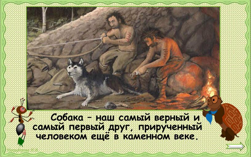 Собака – наш самый верный и самый первый друг, прирученный человеком ещё в каменном веке