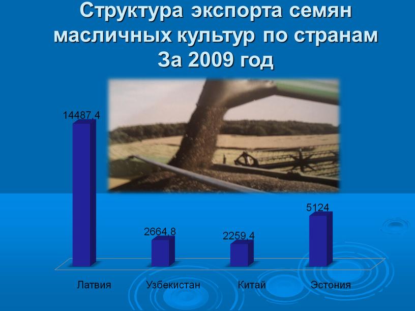 Структура экспорта семян масличных культур по странам