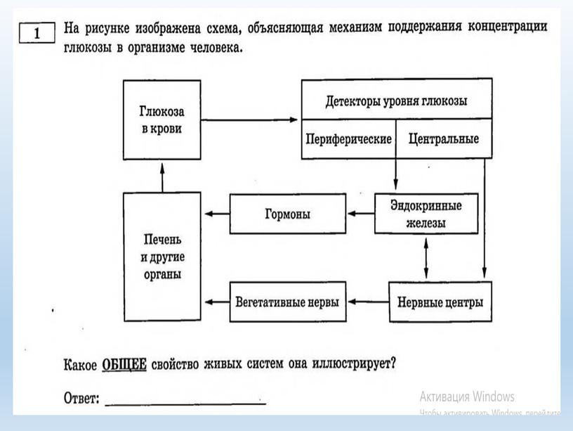 Разбор заданий №1 ОГЭ биология из сборника В.С.Рохлова