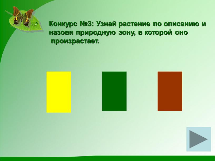 Конкурс №3: Узнай растение по описанию и назови природную зону, в которой оно произрастает