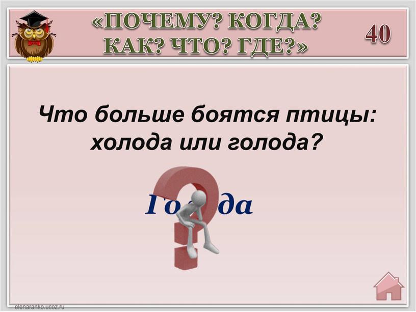 Что больше боятся птицы: холода или голода?