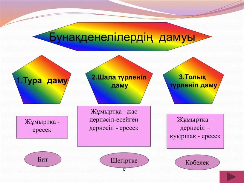 Бунақденелілердің дамуы 1. Тура даму 2