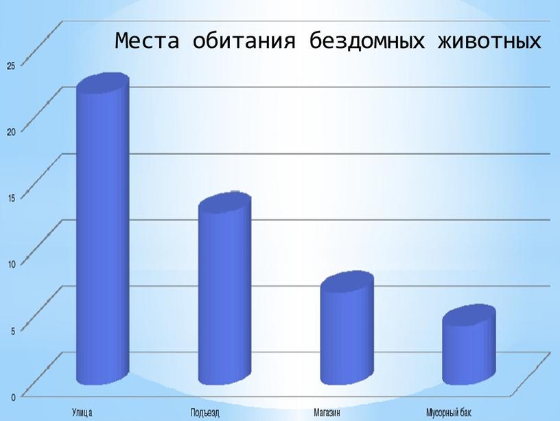 Места обитания бездомных животных