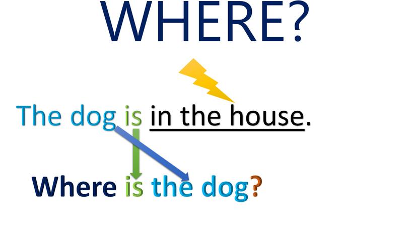 WHERE? The dog is in the house