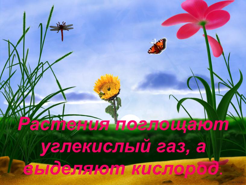Растения поглощают углекислый газ, а выделяют кислород