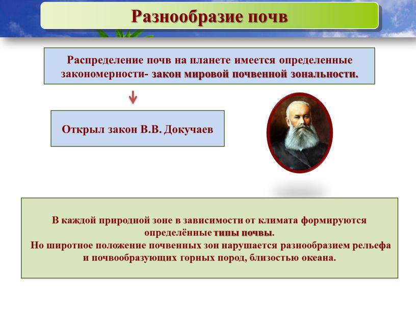 Разнообразие почв Распределение почв на планете имеется определенные закономерности- закон мировой почвенной зональности