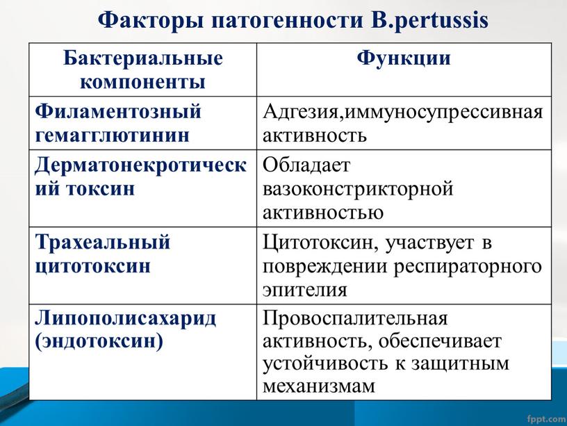 Факторы патогенности В.рertussis