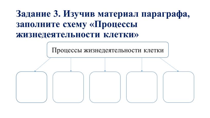 Задание 3. Изучив материал параграфа, заполните схему «Процессы жизнедеятельности клетки»