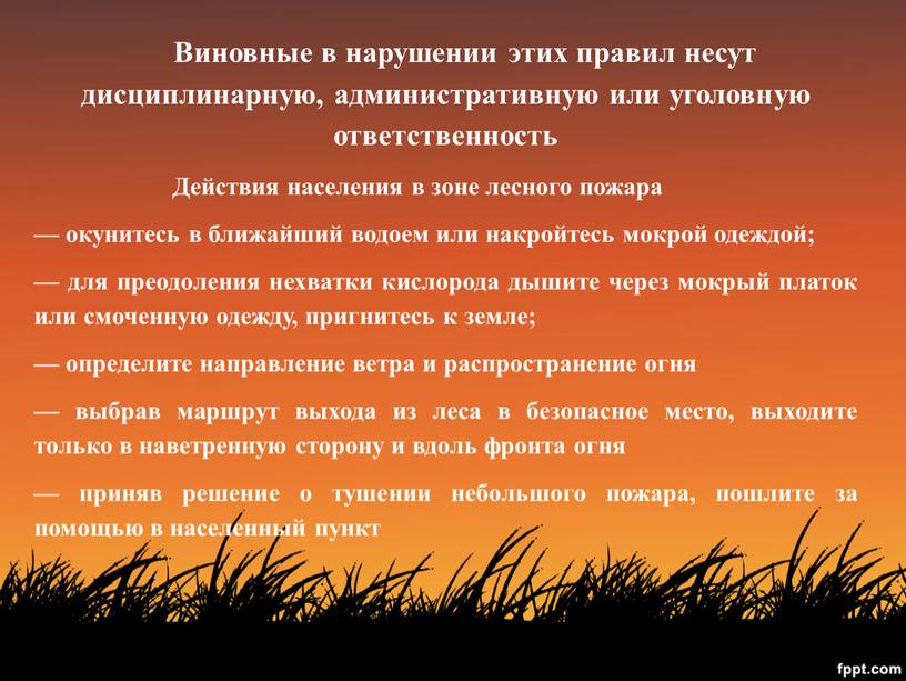 Виновные в нарушении этих правил несут дисциплинарную, административную или уголовную ответственность