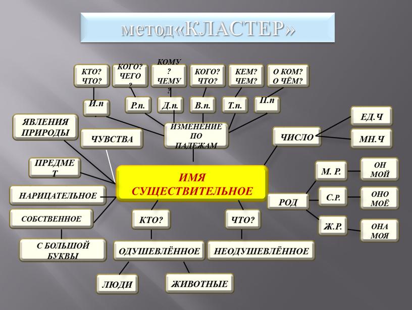 КЛАСТЕР» ЧТО? ПРЕДМЕТ ЛЮДИ ОДУШЕВЛЁННОЕ