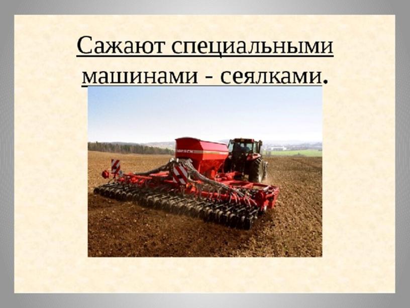 Презентация по финансовой грамотности "Хлеб - драгоценность!", "Как к нам стакан молока пришел?"