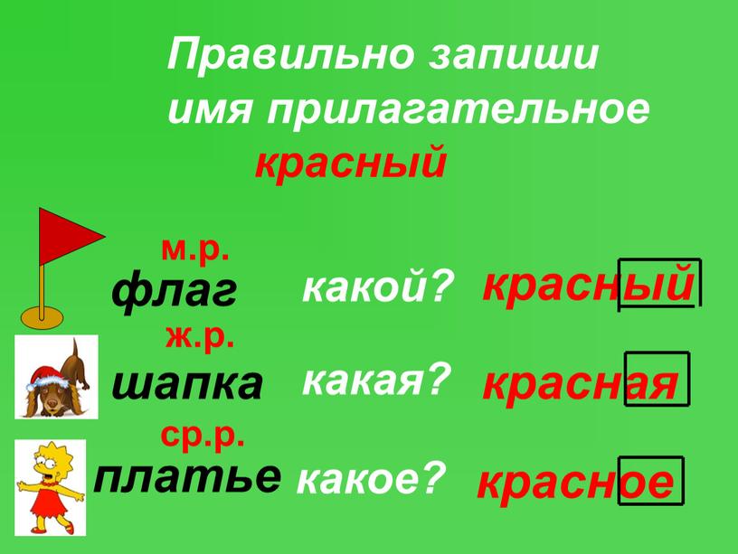 Правильно запиши имя прилагательное красный флаг шапка платье какой? красный какая? красная какое? красное м