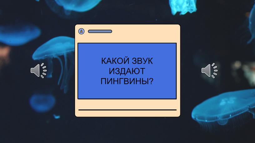 КАКОЙ ЗВУК ИЗДАЮТ ПИНГВИНЫ?