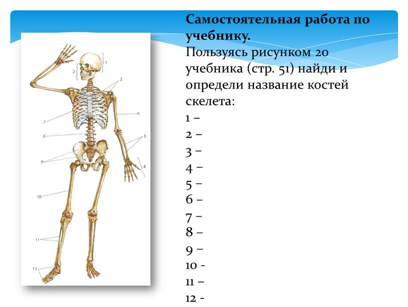 Самостоятельная работа по учебнику