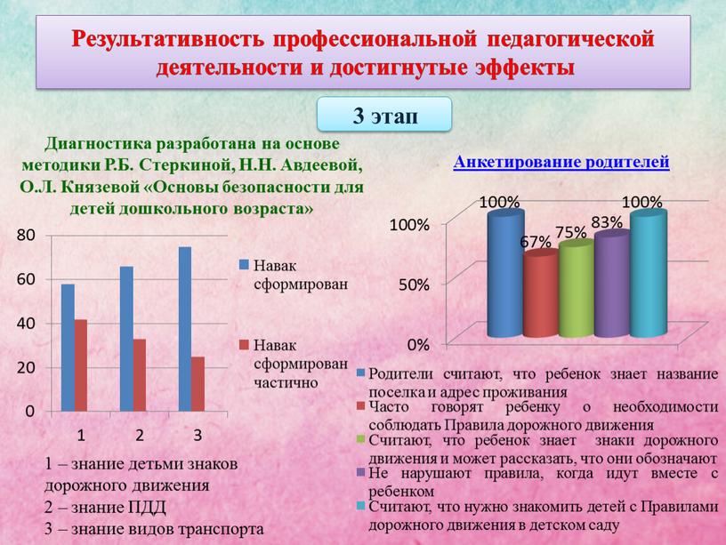 Результативность профессиональной педагогической деятельности и достигнутые эффекты