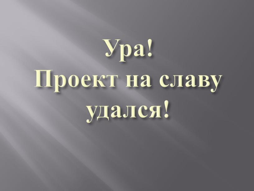 Ура! Проект на славу удался!