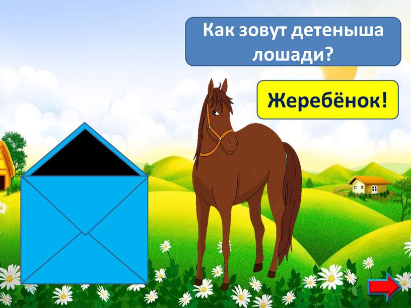 Как зовут детеныша лошади? Жеребёнок!