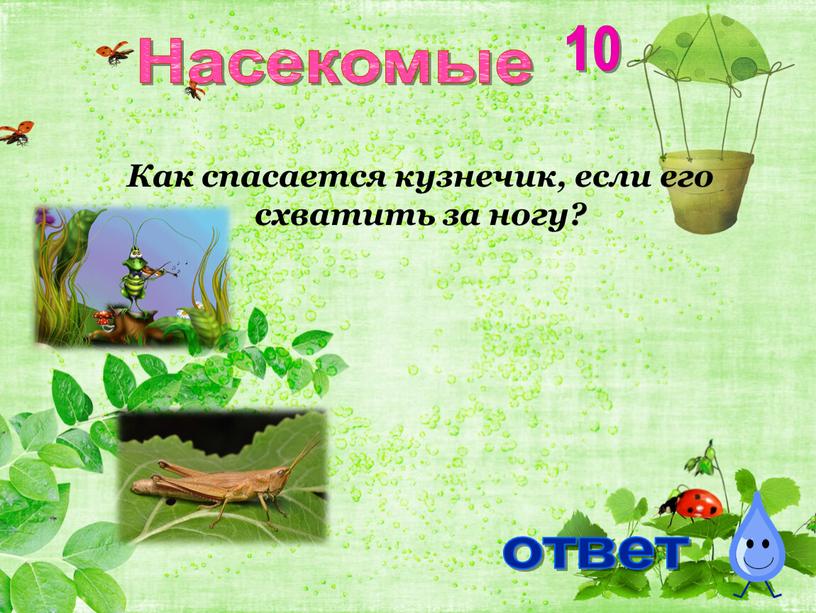 Насекомые 10 Нога отваливается, как у ящерицы хвост ответ