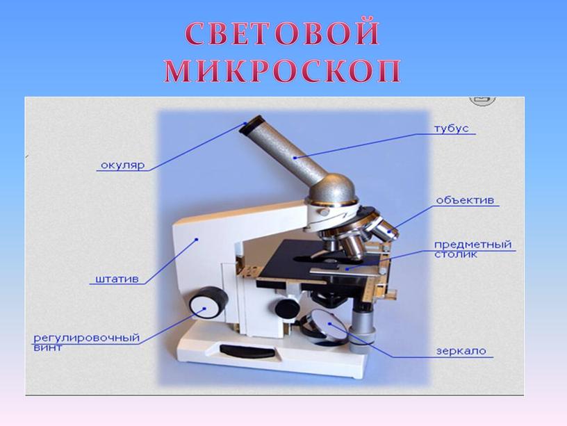 СВЕТОВОЙ МИКРОСКОП