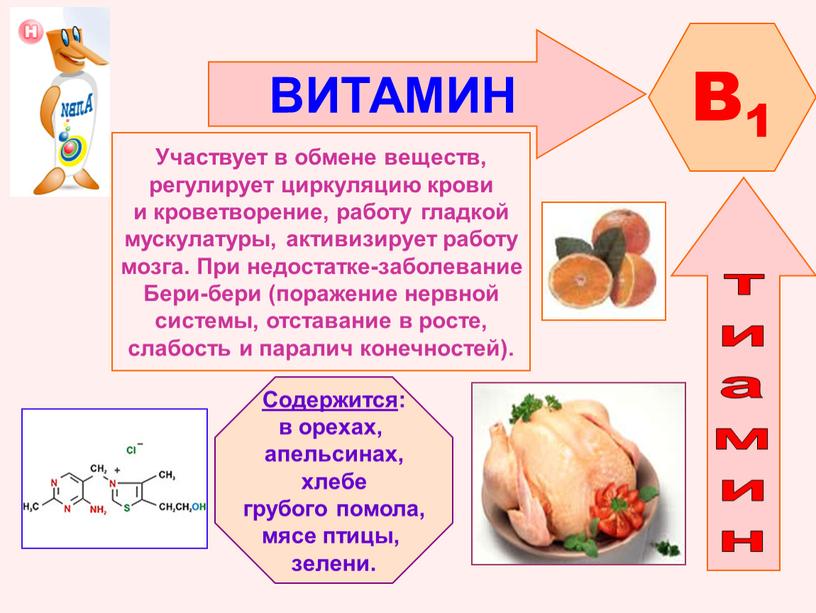 ВИТАМИН B1 Участвует в обмене веществ, регулирует циркуляцию крови и кроветворение, работу гладкой мускулатуры, активизирует работу мозга