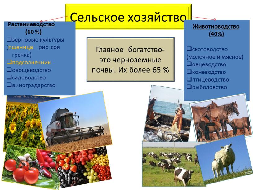 Сельское хозяйство Животноводство (40%) скотоводство (молочное и мясное) овцеводство коневодство птицеводство рыболовство