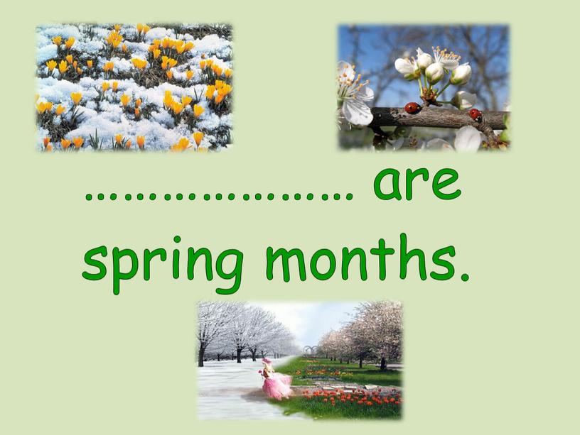 ………………… are spring months.