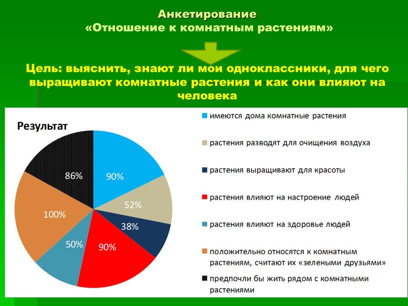 Анкетирование «Отношение к комнатным растениям»