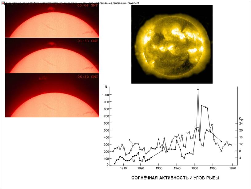 Презентация по астрономии на тему "Солнце и Солнечная активность"