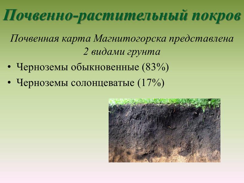 Почвенно-растительный покров Почвенная карта