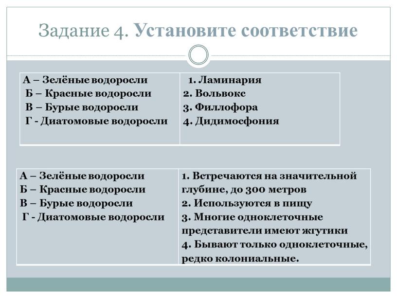 Задание 4. Установите соответствие