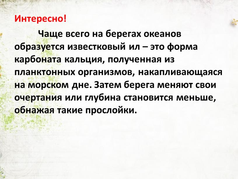 Интересно! Чаще всего на берегах океанов образуется известковый ил – это форма карбоната кальция, полученная из планктонных организмов, накапливающаяся на морском дне