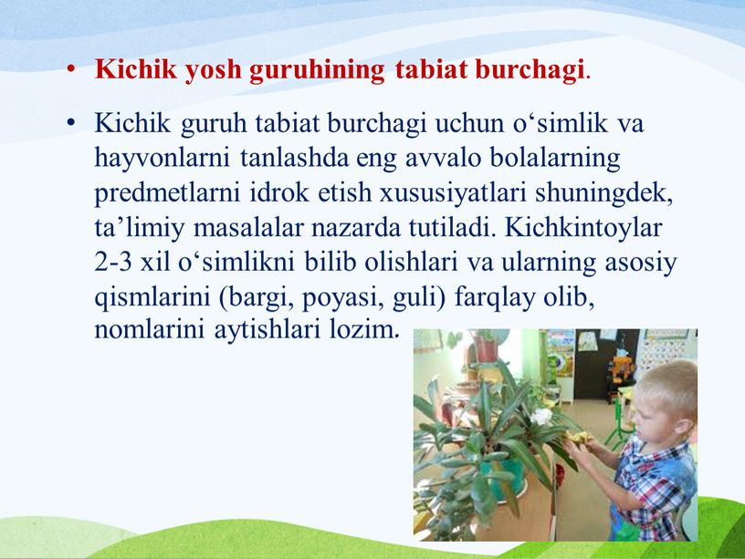 Kichik yosh guruhining tabiat burchagi