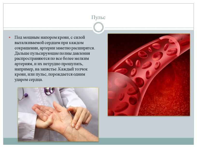 Пульс Под мощным напором крови, с силой выталкиваемой сердцем при каждом сокращении, артерии заметно расширятся