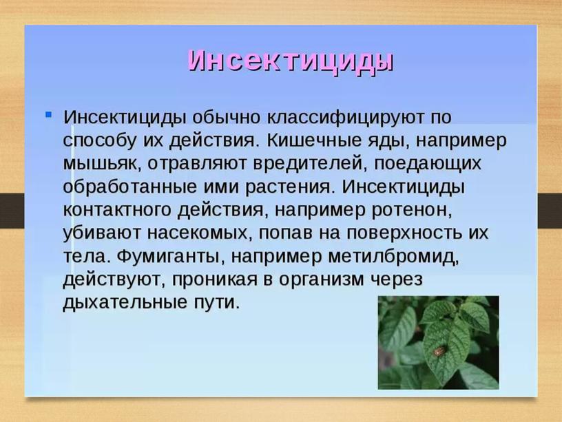 Учебно-методическое пособие по Экологическим основам природопользования