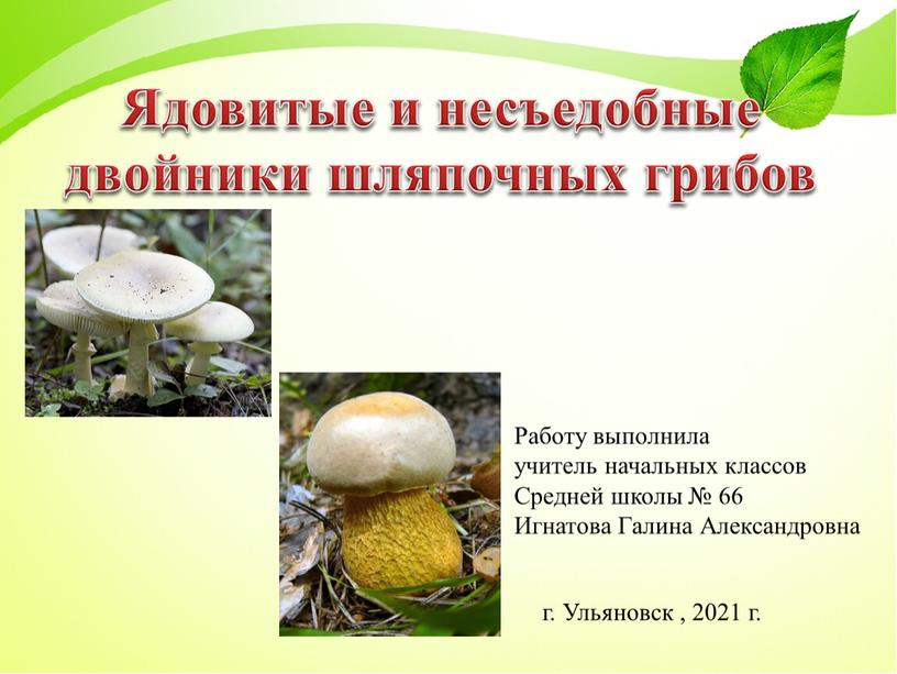 Ядовитые и несъедобные двойники шляпочных грибов