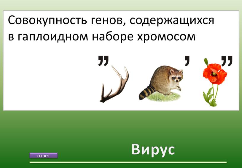 Вирус Совокупность генов, содержащихся в гаплоидном наборе хромосом