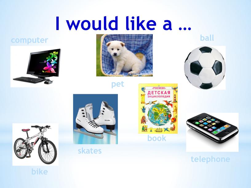 I would like a … computer pet ball skates book telephone bike