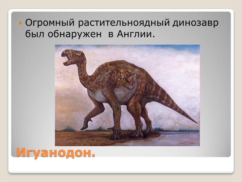 Игуанодон. Огромный растительноядный динозавр был обнаружен в