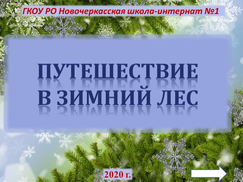 ГКОУ РО Новочеркасская школа-интернат №1 2020 г