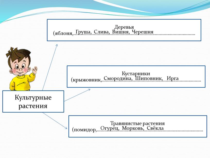 Культурные растения Деревья (яблоня,……………………………………………………………………………………