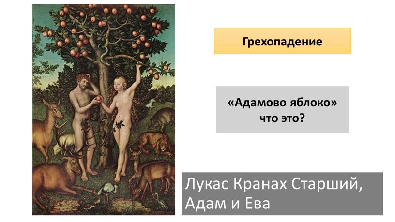 Лукас Кранах Старший, Адам и Ева «Адамово яблоко» что это? е а п и д е г е х р о н