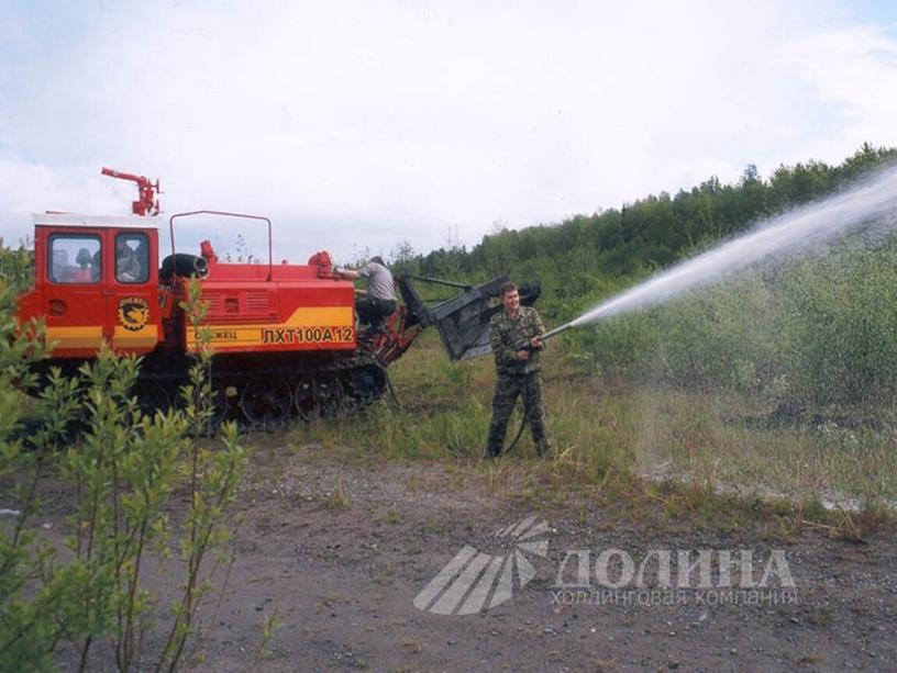 Природные пожары в России 8-9 класс