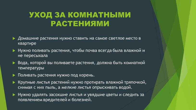 УХОД ЗА КОМНАТНЫМИ РАСТЕНИЯМИ