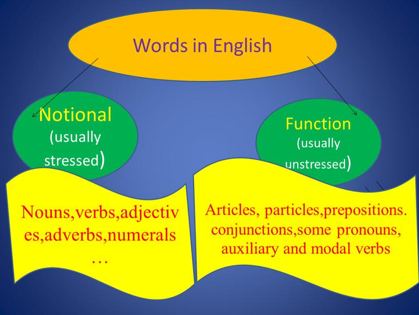 Words in English Notional (usually stressed)