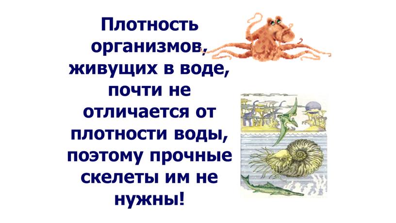 Плотность организмов, живущих в воде, почти не отличается от плотности воды, поэтому прочные скелеты им не нужны!