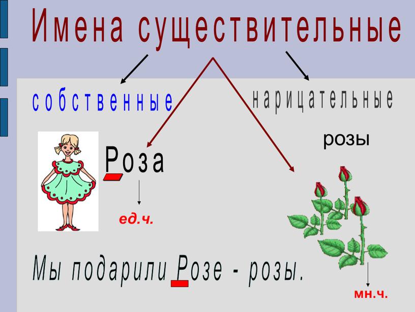 Имена существительные собственные нарицательные