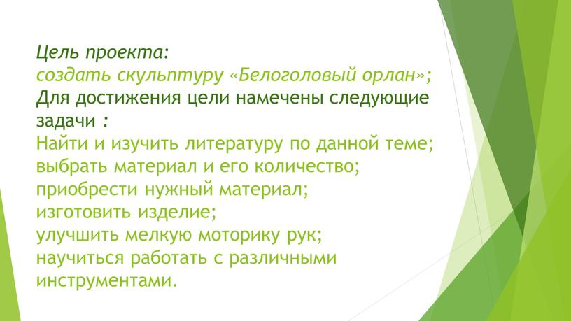 Цель проекта: создать скульптуру «Белоголовый орлан»;