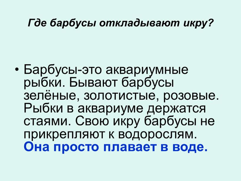 Где барбусы откладывают икру? Барбусы-это аквариумные рыбки